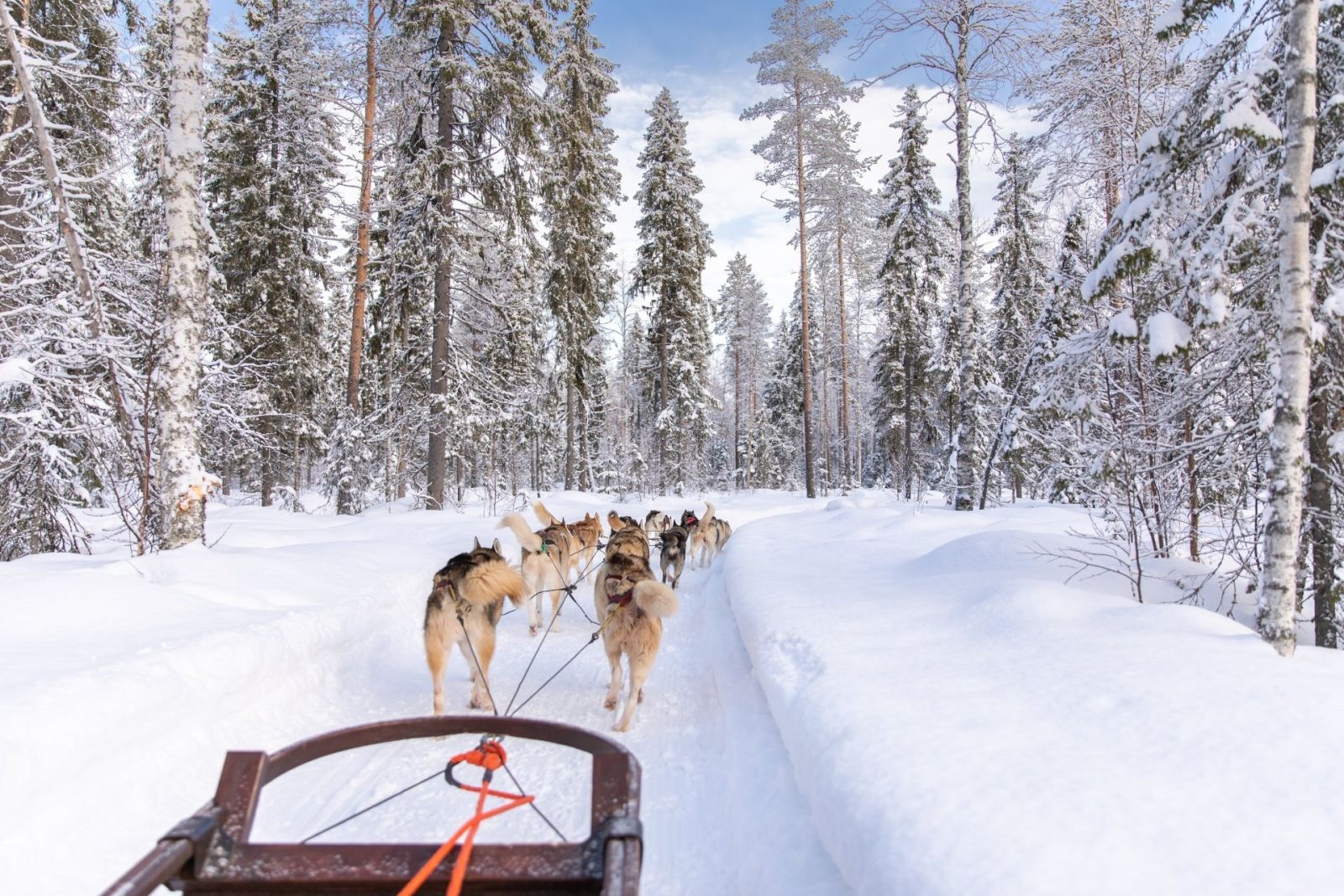 Salla 6-10 diciembre