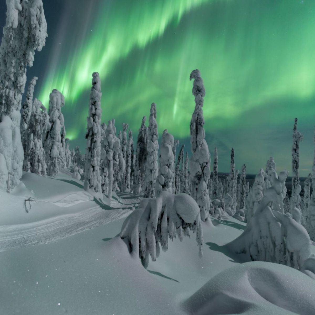 Bajo la aurora boreal