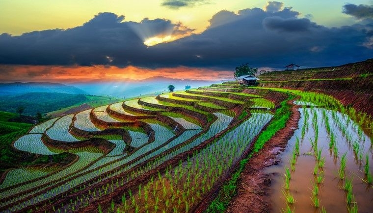 VIETNAM CLÁSICO HASTA 2025