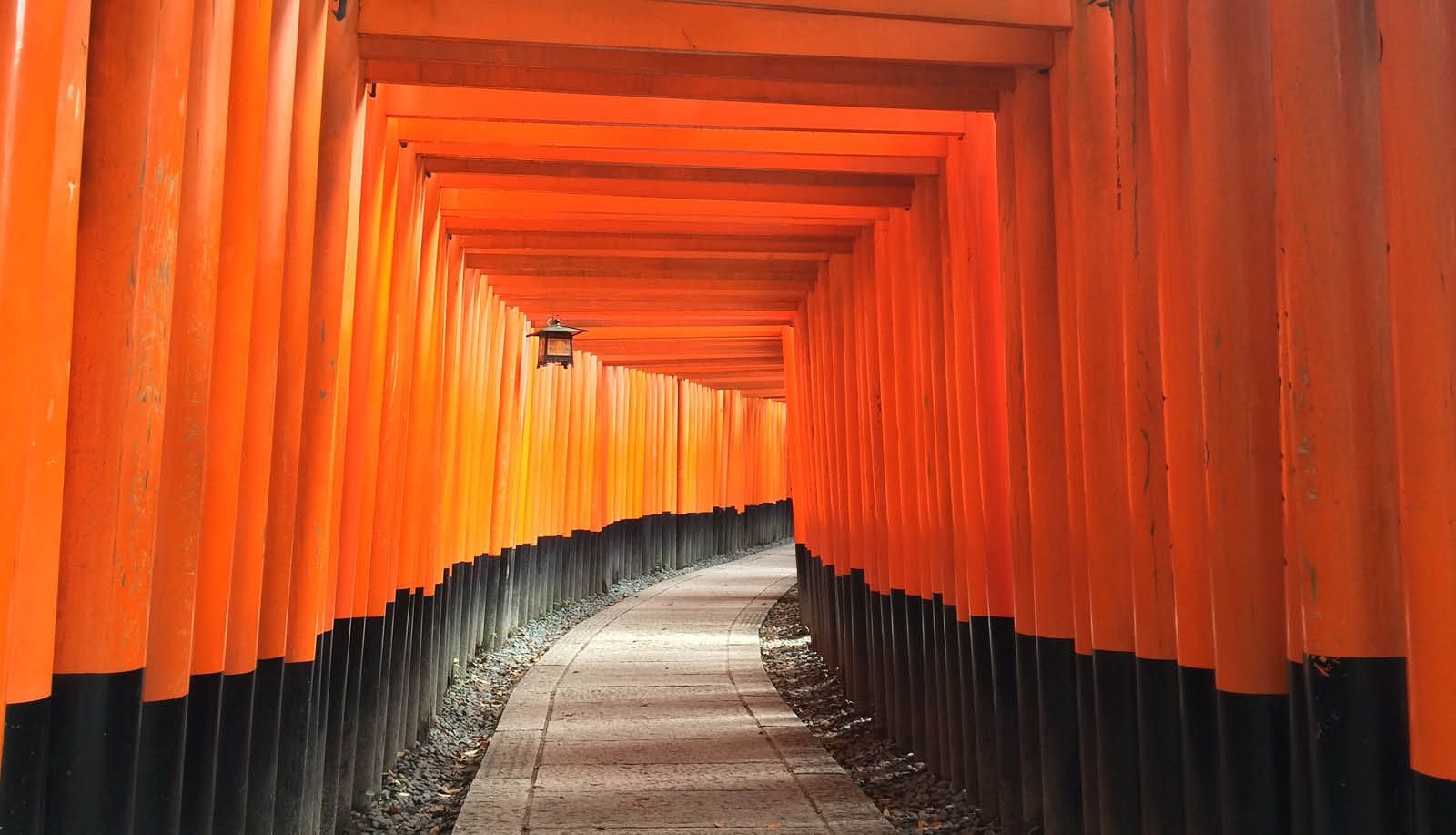 Viaje Completo por Japón