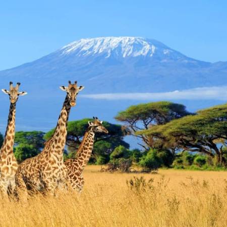 VIAJES CAM 2025 -  KENIA