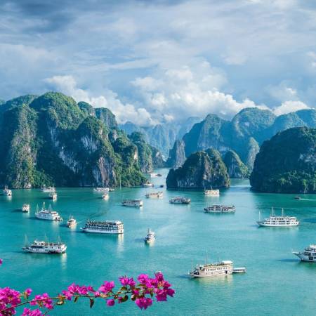 VIAJES CAM 2025 -  VIETNAM